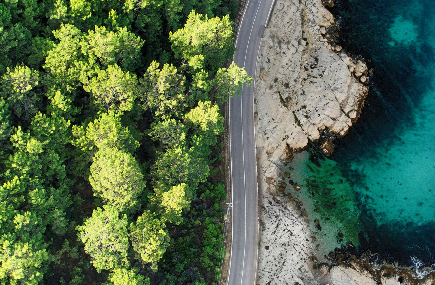 Aerial of a green forest with a long stretch of road to the right of the forest.